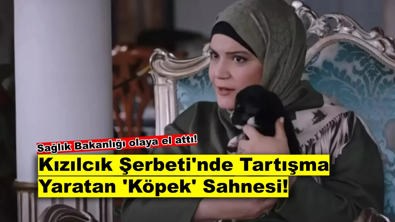 Kızılcık Şerbeti'nde Tartışmalı Sahne! Bakanlıktan Açıklama: 'Doğru Değil