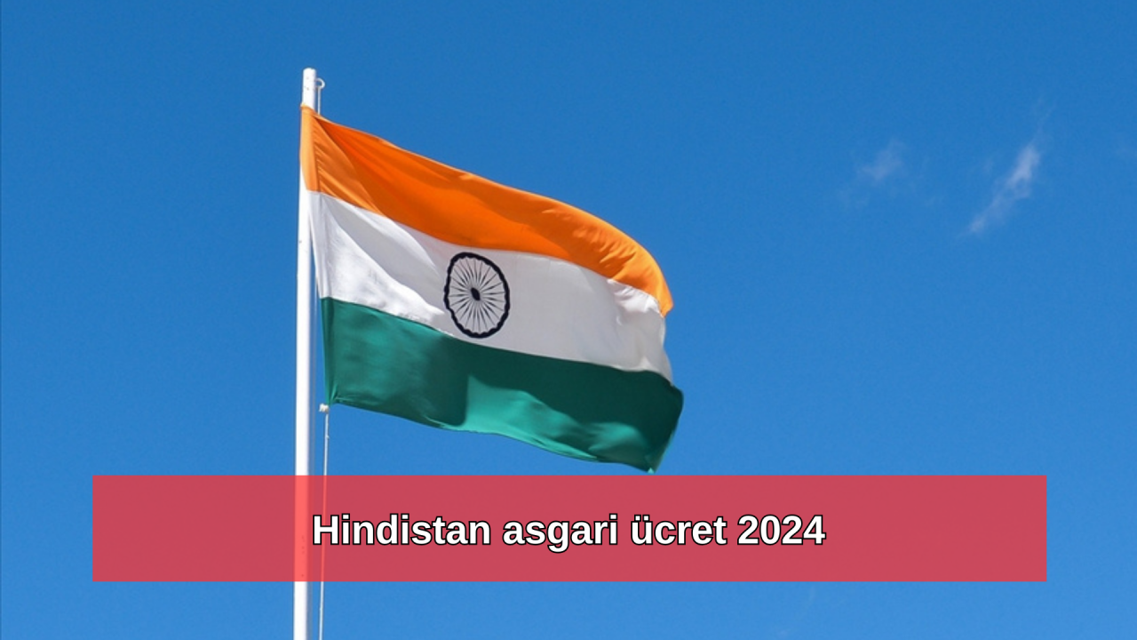 2024 Hindistan asgari ücret kaç dolar?