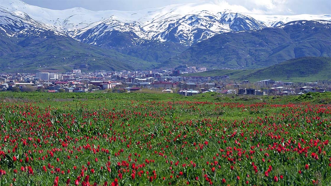 Muş'da en gözde 5 aile ile gezilecek yer önerisi