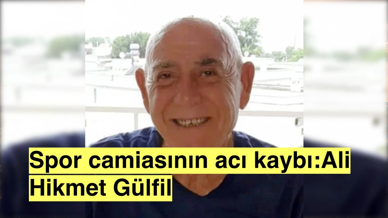 Ali Hikmet Gülfil kimdir, neden öldü?