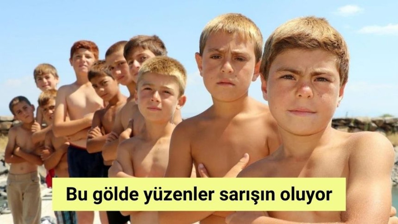 Bu gölde yüzenler sarışın oluyor