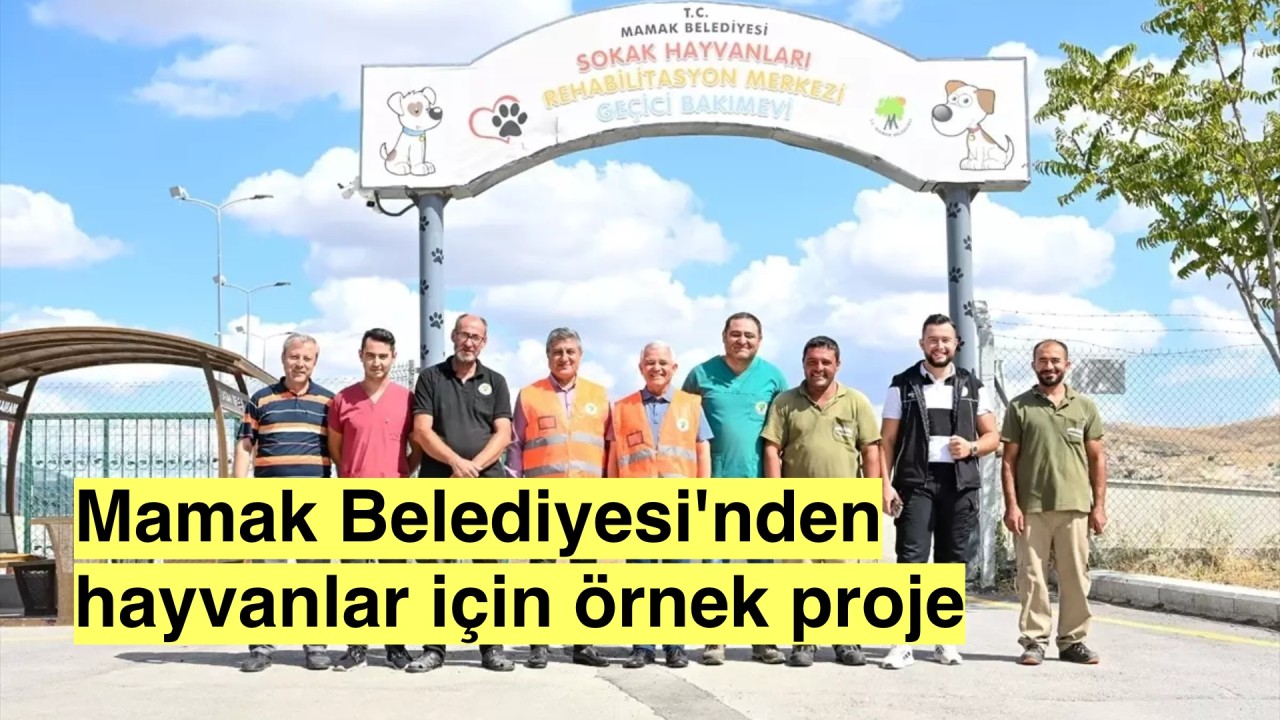 Mamak Belediye başkanı Veli Gündüz Şahin sokak hayvanları için "Rehabilitasyon Merkezi ve Geçici Bakım Evi" projesi başlattı