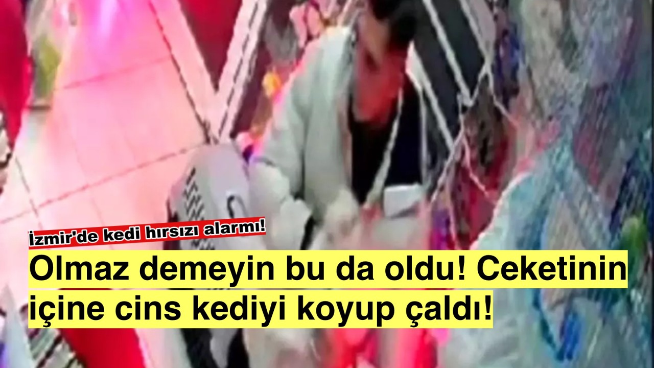 İzmir’de Akılalmaz Hırsızlık: Ceketinde Cins Kedi Kaçırdı!