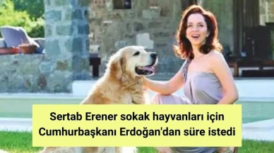 Sertab Erener sokak hayvanları için Cumhurbaşkanı Erdoğan'dan süre istedi