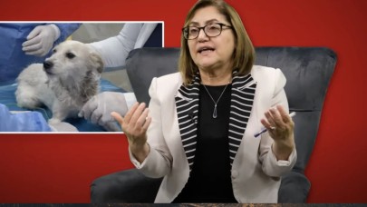 Fatma Şahin'in Elinden Çıkan Yöntem: Gaziantep Modeli ile Sokak Köpeklerine Yeni Bir Yaşam!