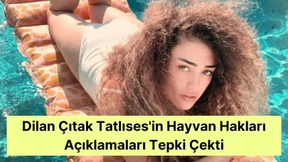 Dilan Çıtak Tatlıses'in Hayvan Hakları Açıklamaları Tepki Çekti