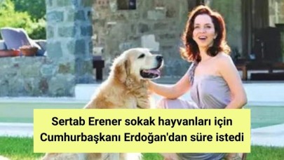 Sertab Erener sokak hayvanları için Cumhurbaşkanı Erdoğan'dan süre istedi