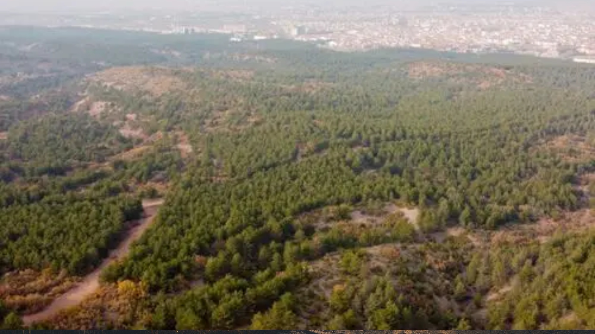 eskişehir kent ormanı